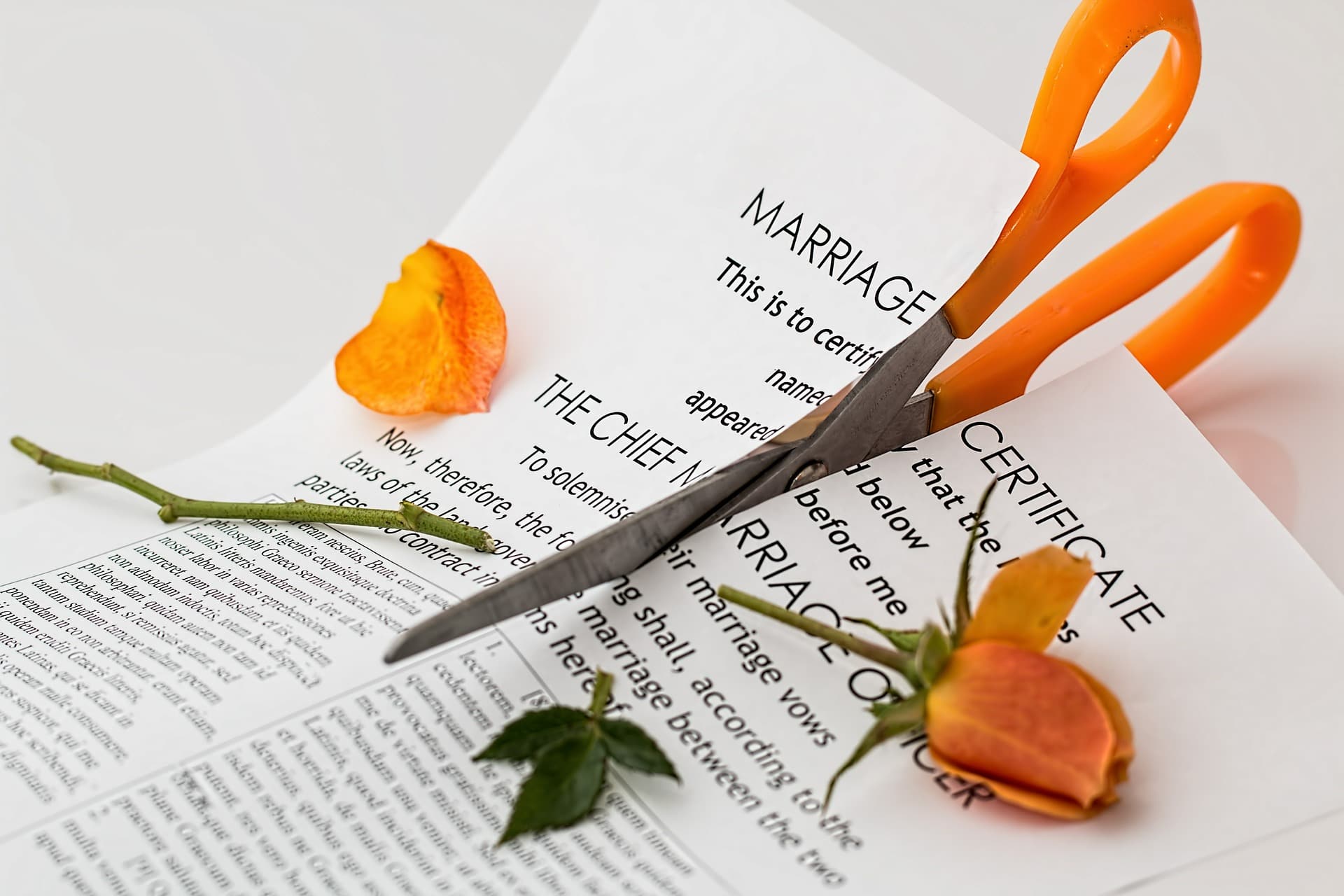 Cutting marriage certificate to show the end of a marriage and the start of a divorce.